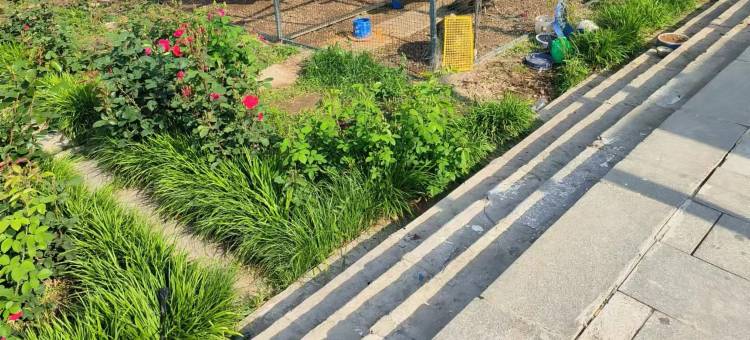 如家华驿酒店(曲阜孔府孔庙景区店)图片