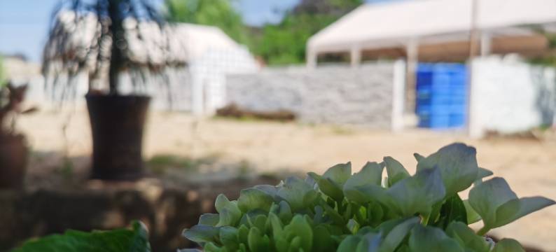 普者黑芃程雅居(情人桥店)图片