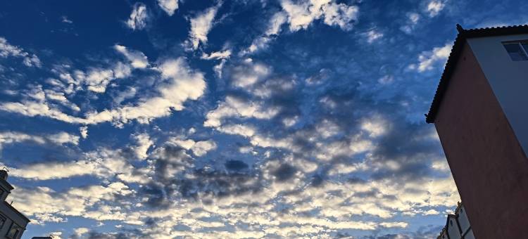 舒克智选酒店图片