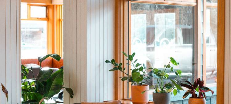 独木舟套房酒店(Hotel Canoe & Suites)图片