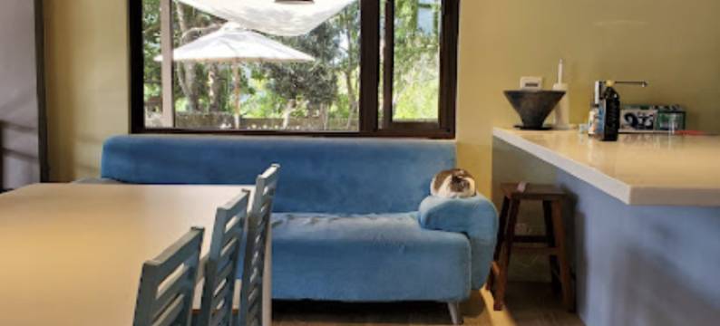 NO.58 树下芬享民宿图片