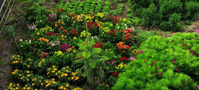 库尔德宁朴宿民宿图片