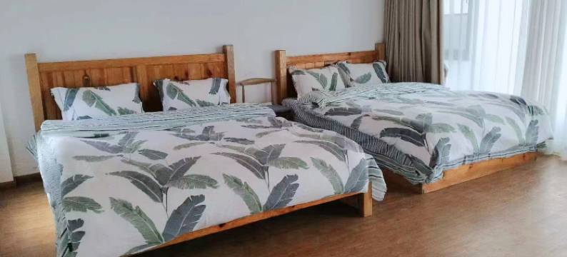 欢雀国际青年旅舍(博爱门店)图片