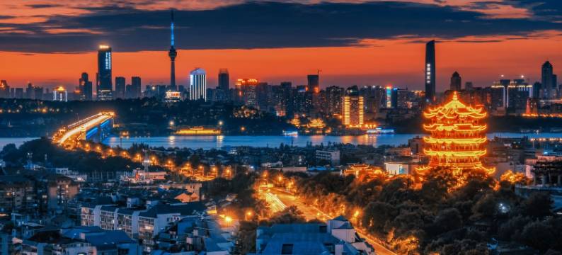 丽顿华居酒店(武汉黄鹤楼彭刘杨地铁站店)图片