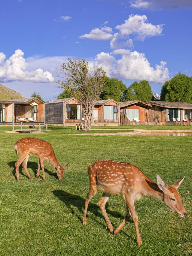 丽思漫丨心宿·穹庐四野供氧庄园(香格里拉店)图片