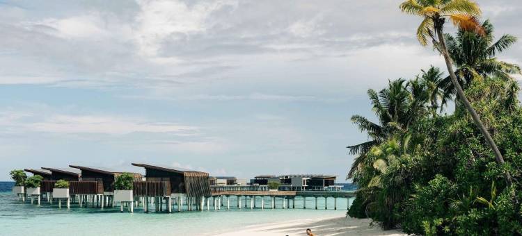 马尔代夫哈达哈岛柏悦度假村(Park Hyatt Maldives Hadahaa)图片