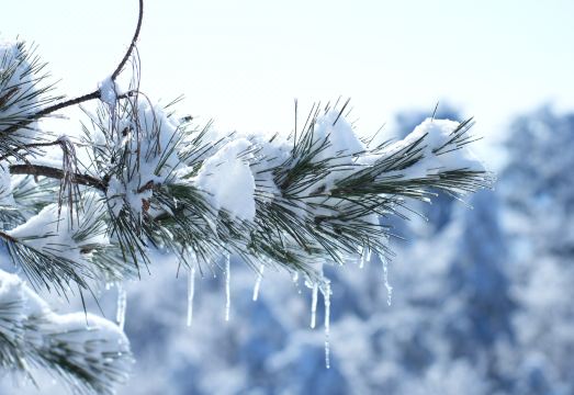 新昌天姥云游太空舱民宿外景图