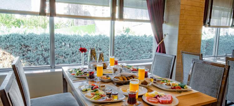 德德曼科尼亚酒店及会议中心(Dedeman Konya Hotel Convention Center)图片