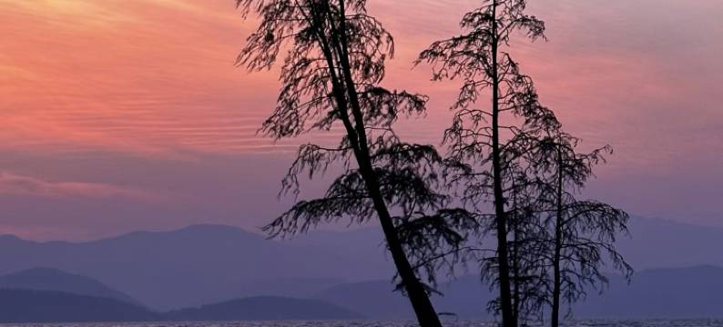 山海浠璟•RetroStyle Villa•花园度假民宿(大理洱海龙龛码头店)图片