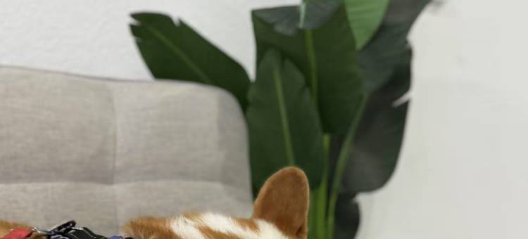 莫娜丽莎天堂泳池酒店(MonaLisa Paradise Pool Hotel)图片