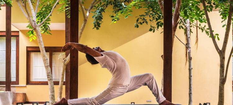 杰特威阿育吠陀酒店(Jetwing Ayurveda Pavilions)图片