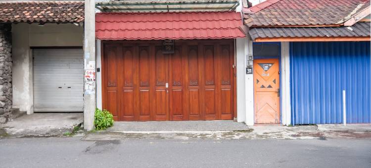 奥玛格尔真29号(Omah Gerjen 29)图片