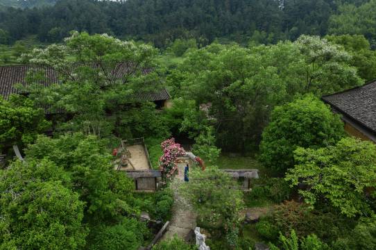 望婺源·流苏小筑·篁岭设计师民宿图片
