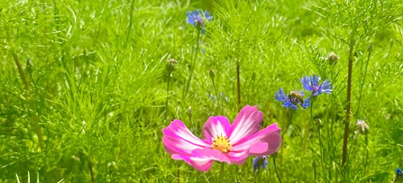 汤旺等风来小筑民宿图片