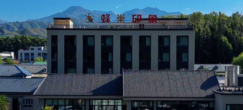 尼勒克蜂巢印象民宿图片