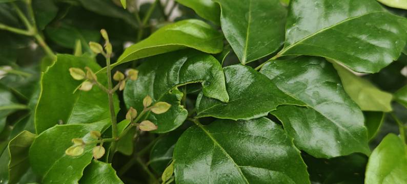 康泰居客栈(平遥古城店)图片