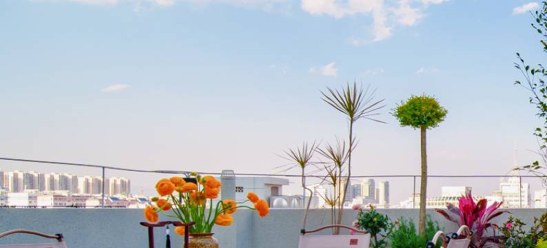 上锦·私享空中花园RooftopGarden星河湖景茶·咖旅行度假美宿图片