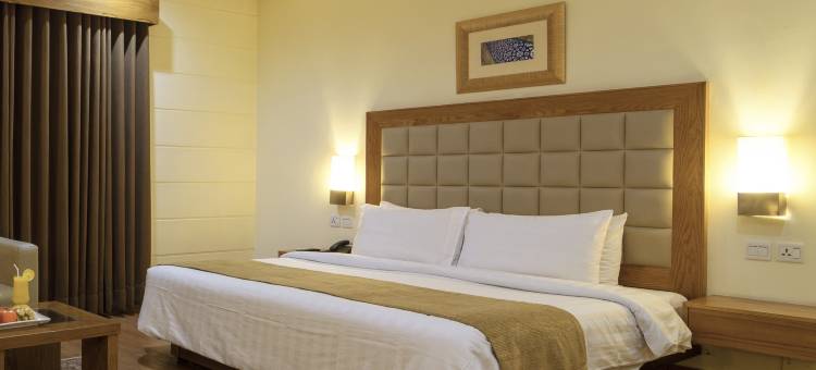 一号酒店-木尔坦塔里克路店(Hotel One Tariq Road Multan)图片