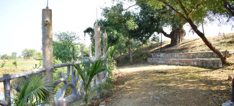 Ajinkya Jungle Lake Farm Resort图片