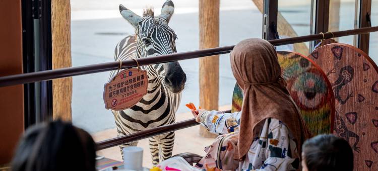 森迪酒店(南通森林野生动物园店)图片
