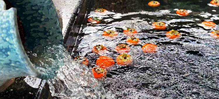 禄丰锶泉酒店图片