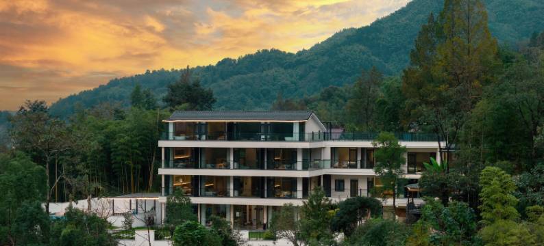 慢漫·未见森林丨Manman·私汤温泉度假设计师森宿图片