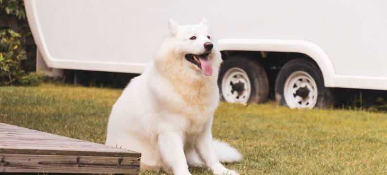 中旅阿那亚九龙湖·A.CAMP房车营地图片