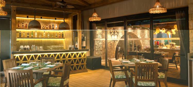 The Evren, Vagator图片