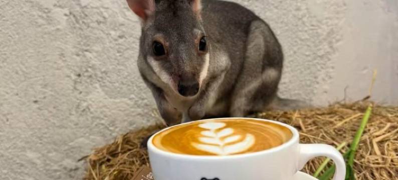 海友酒店(杭州西湖湖滨银泰步行街店)图片