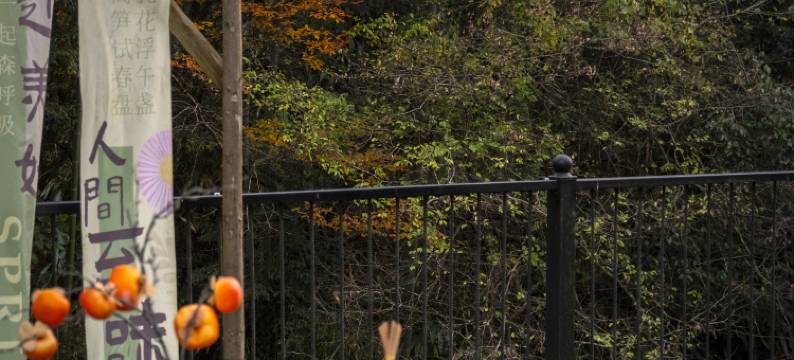 见吾乡·崃漫度假民宿(皖南川藏线店)图片