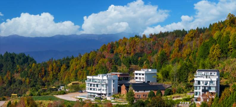仙居不止山宿(油瓶科店)图片