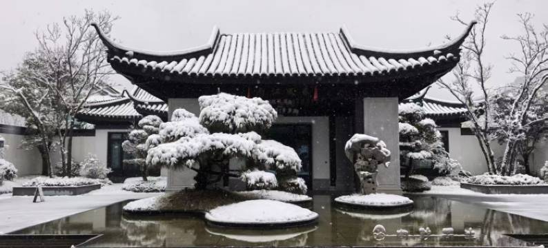 向野而生(栾川老君山景区店)图片