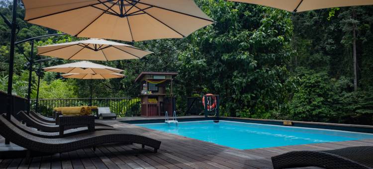 婆罗洲雨林度假村，丹浓谷(Borneo Rainforest Lodge)图片