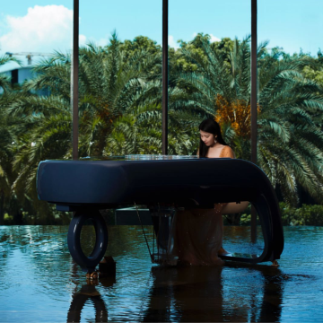 深圳蛇口希尔顿南海酒店图片