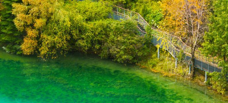 嘎尔庄园(四姑娘山镇·夹金海子店)图片