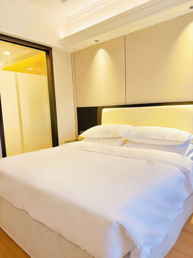 ViennaHotel(BijieChuangmeiShijichengBranch)Over view