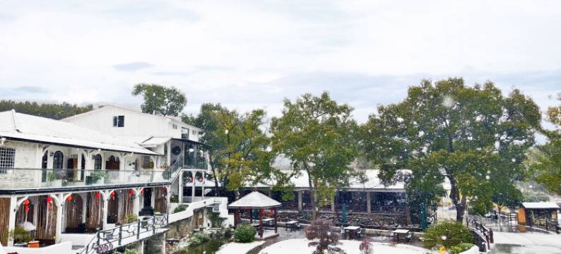 九江乐态庄园民宿(庐山索道东林寺店)图片