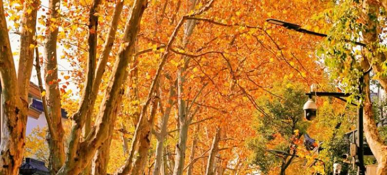 绍兴·永利大酒店(世纪街永利中心店)图片