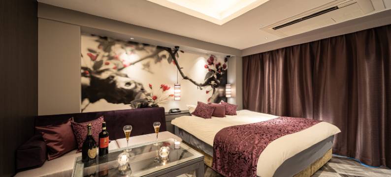 酒店 RIDE仅限成人(HOTEL RIDE (Adults Only))图片