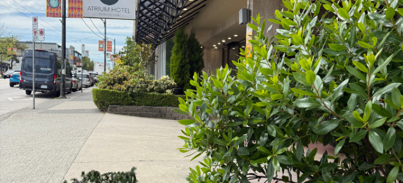 温哥华中庭酒店(Atrium Hotel Vancouver)图片