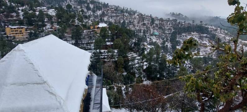 松树先锋生态度假村(Pine pioneer the eco resort)图片