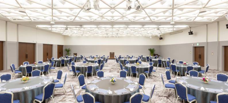 ART新泻站前酒店(Art Hotel Niigata Station)图片