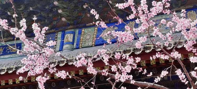 五台山澄心小院图片