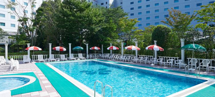 日航国际酒店(Hotel Nikko Narita)图片