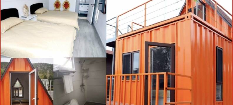 大连尊王·海宿图片