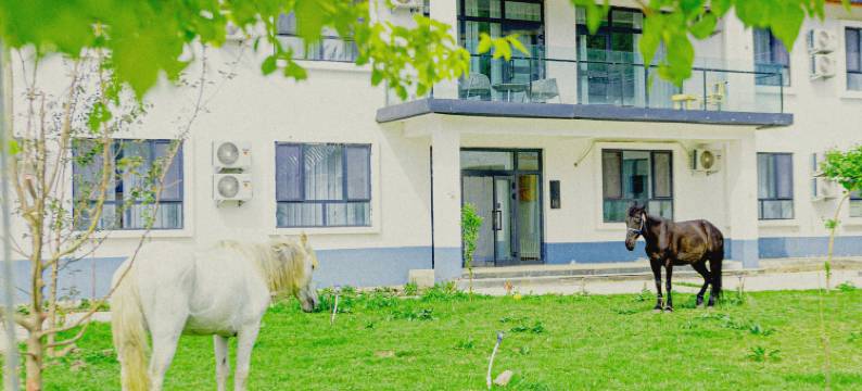 那拉提竹间民宿图片