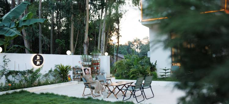 北海柒月民宿图片