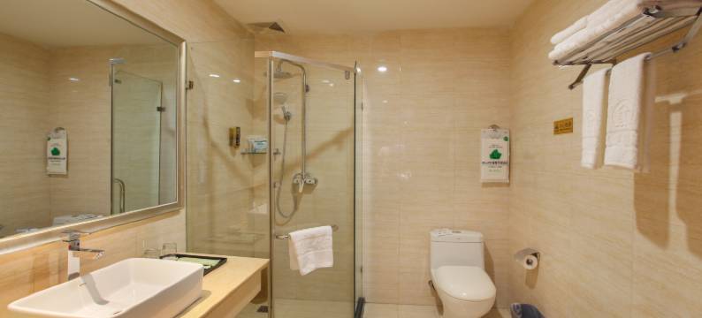 凤凰大酒店(永隆广元高铁站店)图片