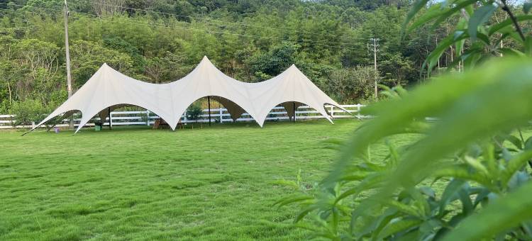 龙门南昆山菲斯美学民宿图片