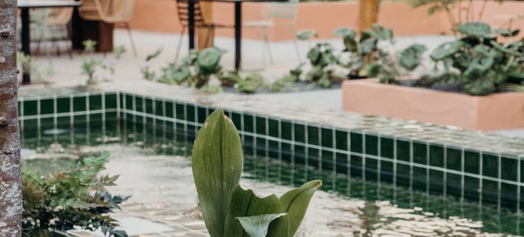 伊迪托里花园拜萨酒店(The Editory Garden Baixa Hotel)图片